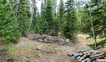 384 N 275 E 61, Brian Head, UT 84719
