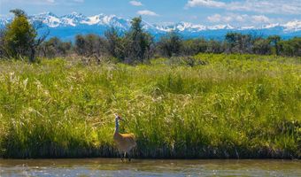 Tbd Dry Creek Road, Belgrade, MT 59714