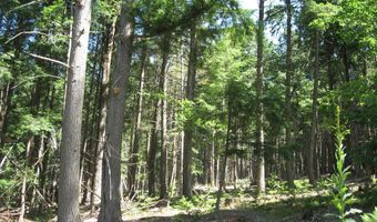 1260 Valentine Pond Rd, Adirondack, NY 12808