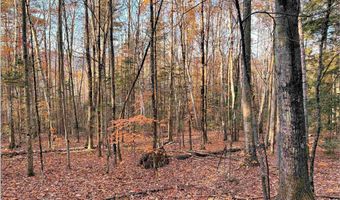 4-1 7 Hodgeman Hill Rd, Campton, NH 03223