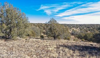 Lot 102 Raz Road, Ash Fork, AZ 86046