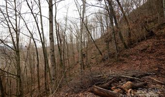 Jacks Knob Road, Barnardsville, NC 28709