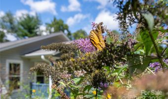 132 Warren Haynes Dr, Asheville, NC 28806