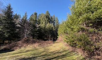 Steer Creek Rd, Blodgett, OR 97326