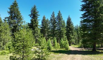 Nna 196 Acres Hwy 95, Bonners Ferry, ID 83805