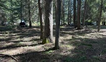 1251 CANYON Rd, Appleton, WA 98602