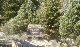 159 Eagle Nest Cir, Cold Creek, NV 89124