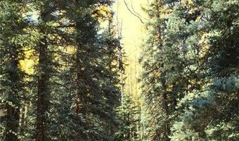 38938 Nf-250 Rd, Antonito, CO 81120