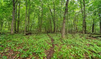 Lt3 County Road N, Arkansaw, WI 54721