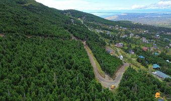 8460 Paine Rd, Anchorage, AK 99516