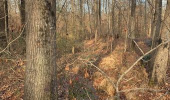 7700 Poole TRACT B, Alto, GA 30510