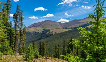 363 Carroll Ln, Breckenridge, CO 80424