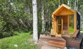 1145 Black Birch Dr, Aspen, CO 81611