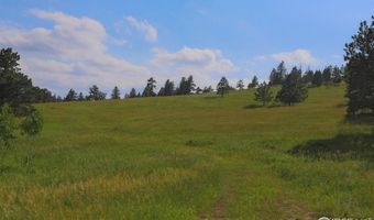 387 OLD CAMP Rd, Bellvue, CO 80512