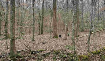 34655 Co Rd 49, Beaverton, AL 35544