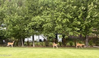 463 Glacier Loop, Bayview, ID 83803