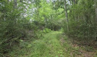 1542 Wellman Dr, Brookhaven, MS 39601