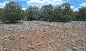74 Co Rd, Concho, AZ 85924