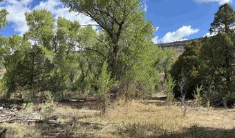 29622 State Highway 17, Antonito, CO 81120