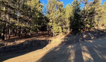 1 And 2 Lower Rd, Angel Fire, NM 87710