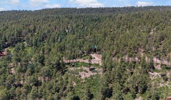220 Hilltop Dr, Bayfield, CO 81122