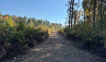 TBD Binnicker Bridge Road, Bamberg, SC 29003