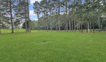 704 Pinola Braxton Rd, Braxton, MS 39044