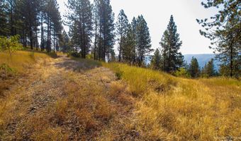 Summitview Dr, Ahsahka, ID 83520