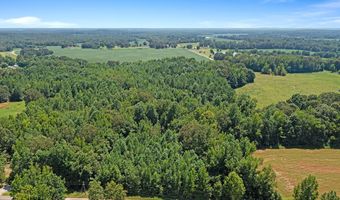0 Cotton Grove Rd, Beech Bluff, TN 38313