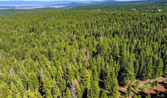 8735 Bering Rd, Alturas, CA 96101