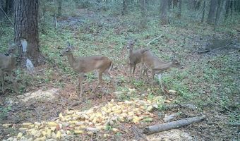 Fox Paw Court, Branchville, SC 29432