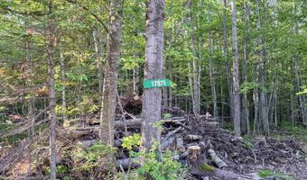 17975 Bear Lk, Hancock, MI 49930