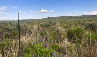 00546008 Near Dean Dann Spa Rd, Crescent Valley, NV 89821