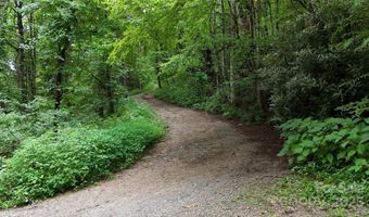 Killdevil Hill Lane unit 9 & 10 9 & 10, Bat Cave, NC 28792