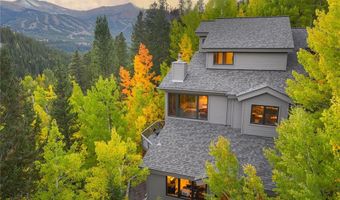 1139 BOREAS PASS Rd, Breckenridge, CO 80424