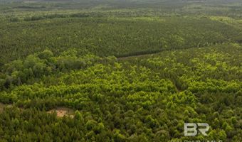 Flowers Road, Bay Minette, AL 36507