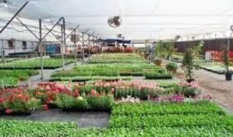 7036 Mcnutt Rd, Anthony, NM 88021