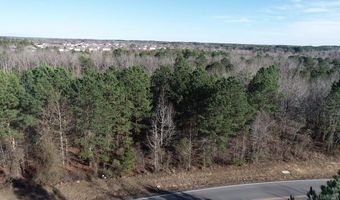 206 Parkway Trail Blvd, Bauxite, AR 72011