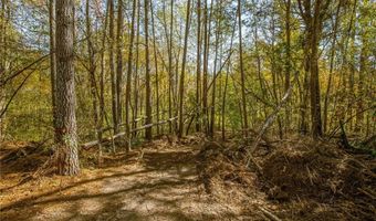 335 Wages Rd, Auburn, GA 30011