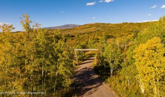 1350 Old Herron Rd, Basalt, CO 81621