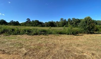 Tract 2 Hwy 51S, Homer, GA 30547