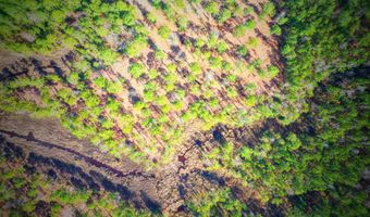 203 Paradox Point Dr Lot 16, Aurora, NC 27806
