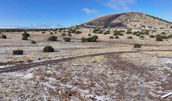 102 County Road 5105, Concho, AZ 85924