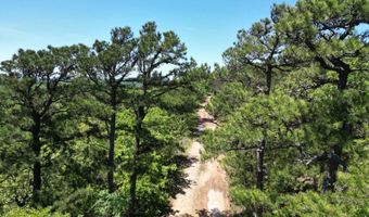 Tract 46 Trail Ridge Rd, Albion, OK 74571