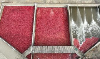 54981 MORRISON Rd, Bandon, OR 97411