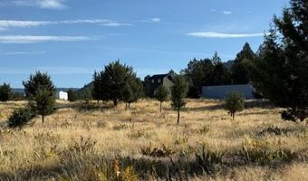 Old Coyote Ct, Alturas, CA 96101