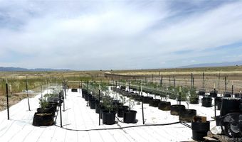 1905 Pope Valley Ranch Rd, Beulah, CO 81023