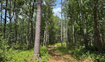 Fox Paw Court, Branchville, SC 29432