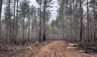 Highway 9N, Banner, MS 38913