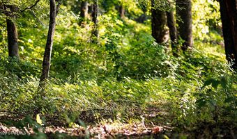 Cypress Pointe Drive lot 14, Brooksville, MS 39739